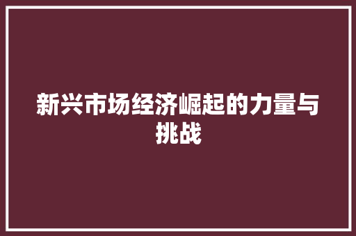 新兴市场经济崛起的力量与挑战