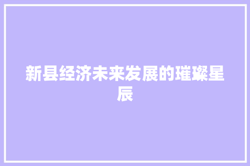 新县经济未来发展的璀璨星辰 新县经济未来发展的璀璨星辰