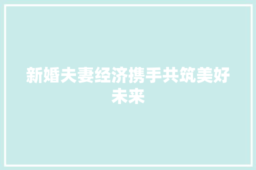 新婚夫妻经济携手共筑美好未来 新婚夫妻经济携手共筑美好未来