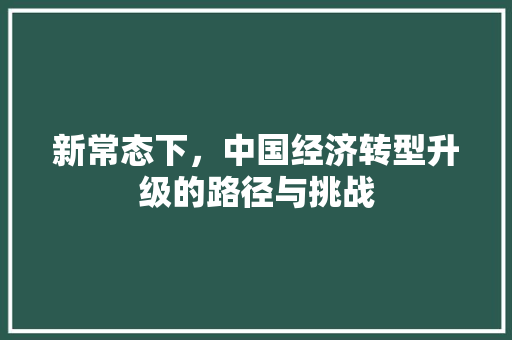 新常态下，中国经济转型升级的路径与挑战