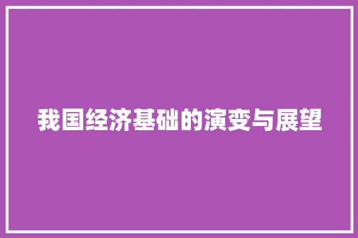 我国经济基础的演变与展望 我国经济基础的演变与展望