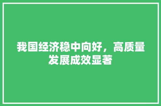 我国经济稳中向好,高质量发展成效显著 我国经济稳中向好,高质量发展成效显著