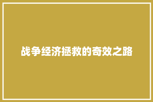 战争经济拯救的奇效之路 战争经济拯救的奇效之路
