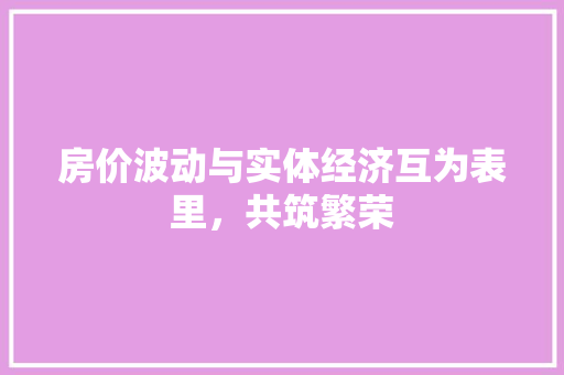 房价波动与实体经济互为表里,共筑繁荣 房价波动与实体经济互为表里,共筑繁荣