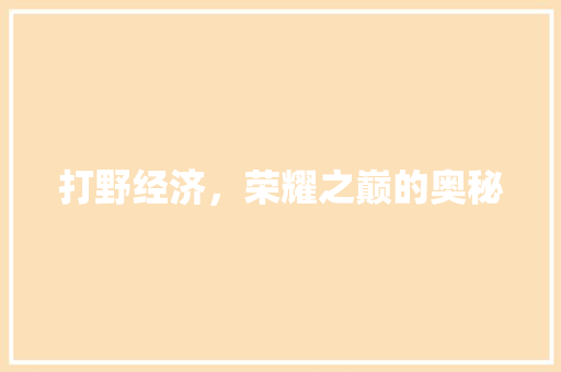 打野经济,荣耀之巅的奥秘 打野经济,荣耀之巅的奥秘