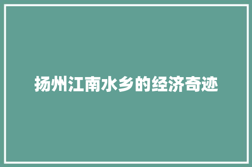 扬州江南水乡的经济奇迹 扬州江南水乡的经济奇迹