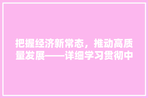 把握经济新常态,推动高质量发展——详细学习贯彻中央经济工作会议精神 把握经济新常态,推动高质量发展——详细学习贯彻中央经济工作会议精神