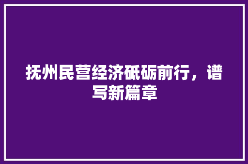 抚州民营经济砥砺前行,谱写新篇章 抚州民营经济砥砺前行,谱写新篇章