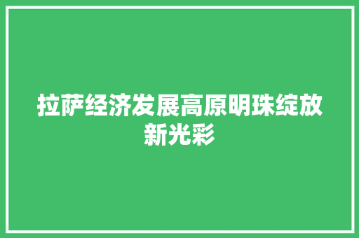 拉萨经济发展高原明珠绽放新光彩 拉萨经济发展高原明珠绽放新光彩