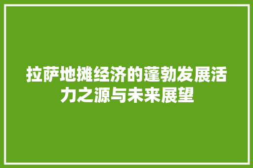拉萨地摊经济的蓬勃发展活力之源与未来展望 拉萨地摊经济的蓬勃发展活力之源与未来展望