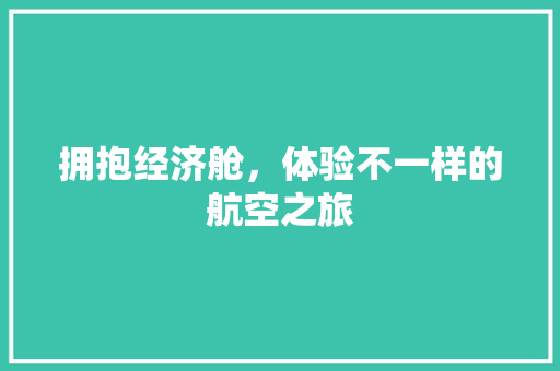 拥抱经济舱,体验不一样的航空之旅 拥抱经济舱,体验不一样的航空之旅