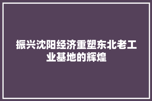 振兴沈阳经济重塑东北老工业基地的辉煌 振兴沈阳经济重塑东北老工业基地的辉煌