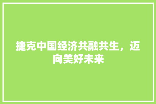 捷克中国经济共融共生,迈向美好未来 捷克中国经济共融共生,迈向美好未来