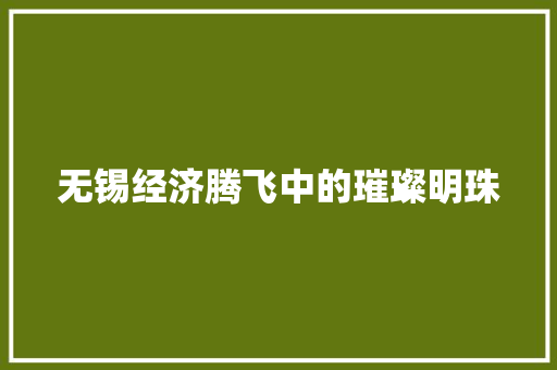 无锡经济腾飞中的璀璨明珠 无锡经济腾飞中的璀璨明珠