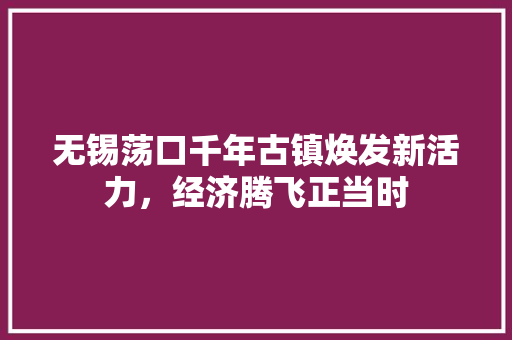 无锡荡口千年古镇焕发新活力,经济腾飞正当时 无锡荡口千年古镇焕发新活力,经济腾飞正当时
