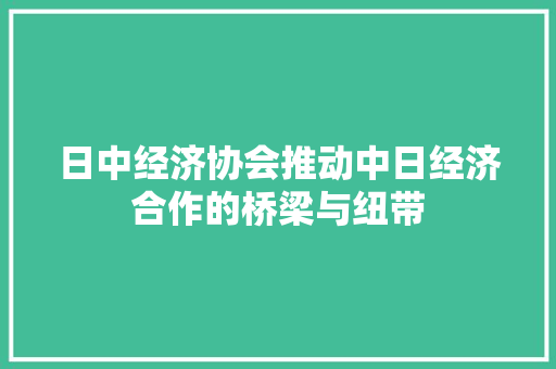 日中经济协会推动中日经济合作的桥梁与纽带 日中经济协会推动中日经济合作的桥梁与纽带