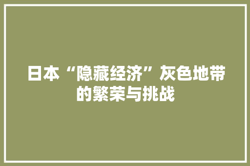 日本“隐藏经济”灰色地带的繁荣与挑战 日本“隐藏经济”灰色地带的繁荣与挑战