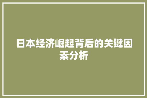 日本经济崛起背后的关键因素分析 日本经济崛起背后的关键因素分析