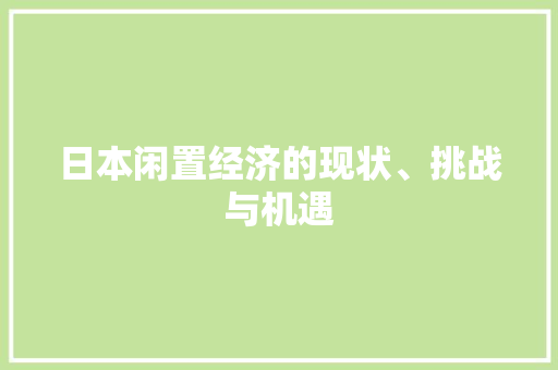 日本闲置经济的现状、挑战与机遇 日本闲置经济的现状、挑战与机遇