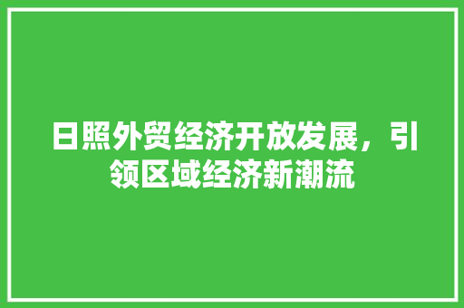 日照外贸经济开放发展,引领区域经济新潮流 日照外贸经济开放发展,引领区域经济新潮流