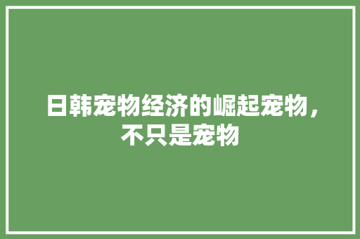日韩宠物经济的崛起宠物,不只是宠物 日韩宠物经济的崛起宠物,不只是宠物