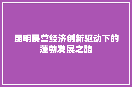 昆明民营经济创新驱动下的蓬勃发展之路 昆明民营经济创新驱动下的蓬勃发展之路