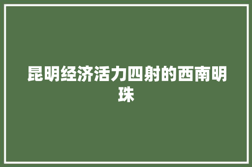 昆明经济活力四射的西南明珠 昆明经济活力四射的西南明珠