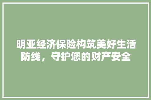 明亚经济保险构筑美好生活防线,守护您的财产安全 明亚经济保险构筑美好生活防线,守护您的财产安全