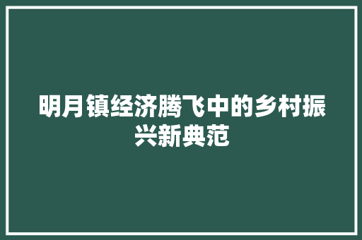 明月镇经济腾飞中的乡村振兴新典范 明月镇经济腾飞中的乡村振兴新典范