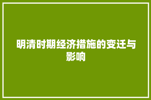 明清时期经济措施的变迁与影响 明清时期经济措施的变迁与影响