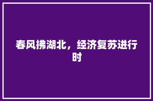 春风拂湖北,经济复苏进行时 春风拂湖北,经济复苏进行时