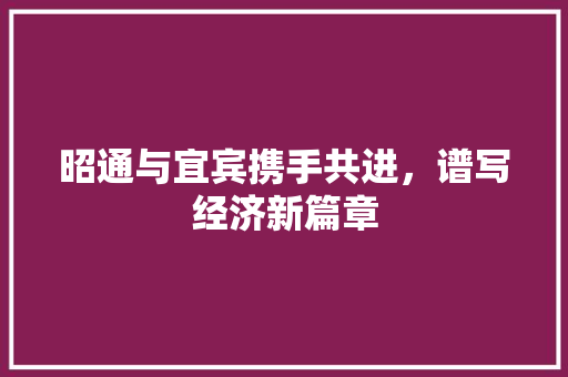 昭通与宜宾携手共进,谱写经济新篇章 昭通与宜宾携手共进,谱写经济新篇章