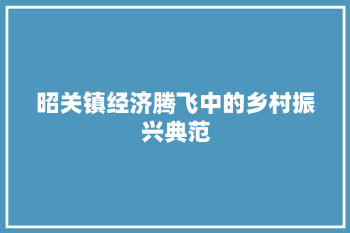 昭关镇经济腾飞中的乡村振兴典范 昭关镇经济腾飞中的乡村振兴典范