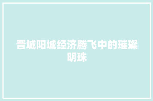 晋城阳城经济腾飞中的璀璨明珠 晋城阳城经济腾飞中的璀璨明珠