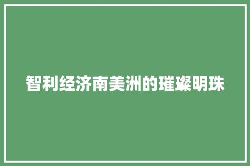 智利经济南美洲的璀璨明珠 智利经济南美洲的璀璨明珠