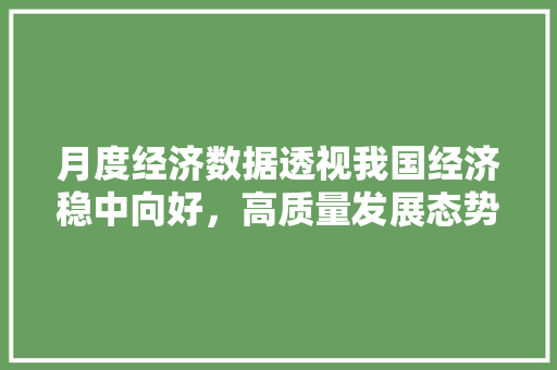 月度经济数据透视我国经济稳中向好，高质量发展态势明显