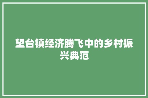 望台镇经济腾飞中的乡村振兴典范 望台镇经济腾飞中的乡村振兴典范