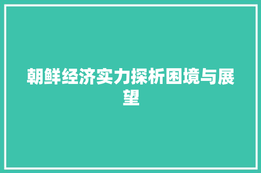 朝鲜经济实力探析困境与展望 朝鲜经济实力探析困境与展望