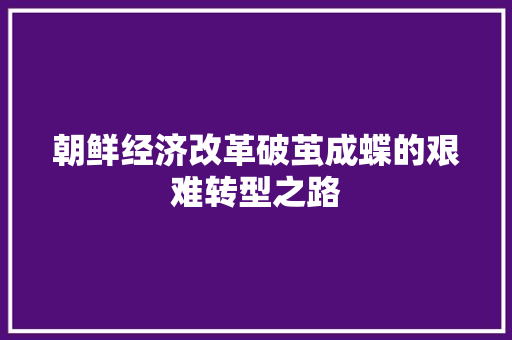 朝鲜经济改革破茧成蝶的艰难转型之路 朝鲜经济改革破茧成蝶的艰难转型之路