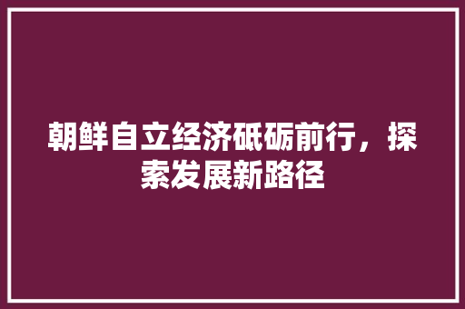 朝鲜自立经济砥砺前行,探索发展新路径 朝鲜自立经济砥砺前行,探索发展新路径
