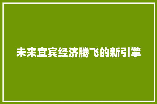 未来宜宾经济腾飞的新引擎 未来宜宾经济腾飞的新引擎
