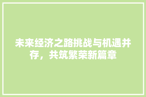 未来经济之路挑战与机遇并存，共筑繁荣新篇章