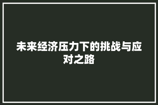 未来经济压力下的挑战与应对之路 未来经济压力下的挑战与应对之路