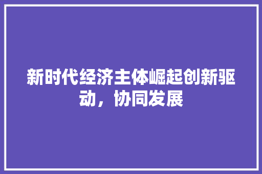 新时代经济主体崛起创新驱动,协同发展 新时代经济主体崛起创新驱动,协同发展