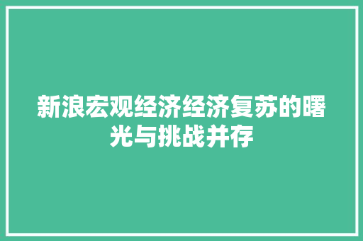 新浪宏观经济经济复苏的曙光与挑战并存 新浪宏观经济经济复苏的曙光与挑战并存