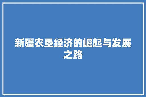 新疆农垦经济的崛起与发展之路 新疆农垦经济的崛起与发展之路