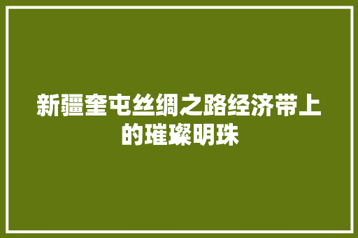 新疆奎屯丝绸之路经济带上的璀璨明珠 新疆奎屯丝绸之路经济带上的璀璨明珠