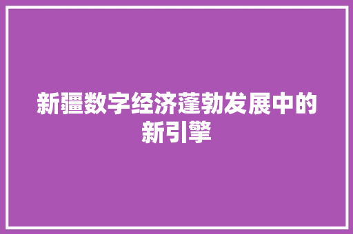 新疆数字经济蓬勃发展中的新引擎 新疆数字经济蓬勃发展中的新引擎