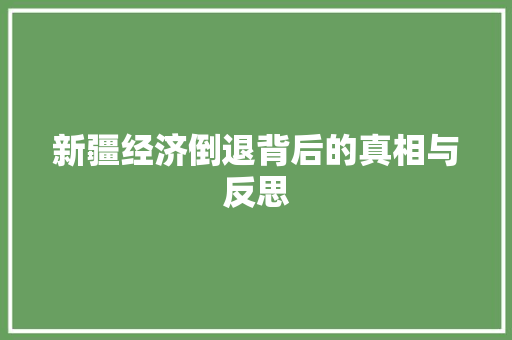新疆经济倒退背后的真相与反思 新疆经济倒退背后的真相与反思