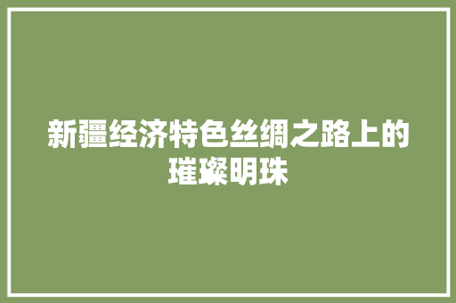 新疆经济特色丝绸之路上的璀璨明珠 新疆经济特色丝绸之路上的璀璨明珠